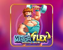 Mega Flex: Hold & Win